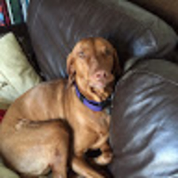 Meet your Posher, Joan - Picture 1 of 1